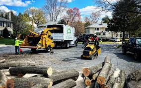 Best Commercial Tree Services  in Sandston, VA